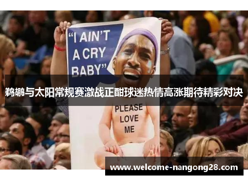 鹈鹕与太阳常规赛激战正酣球迷热情高涨期待精彩对决